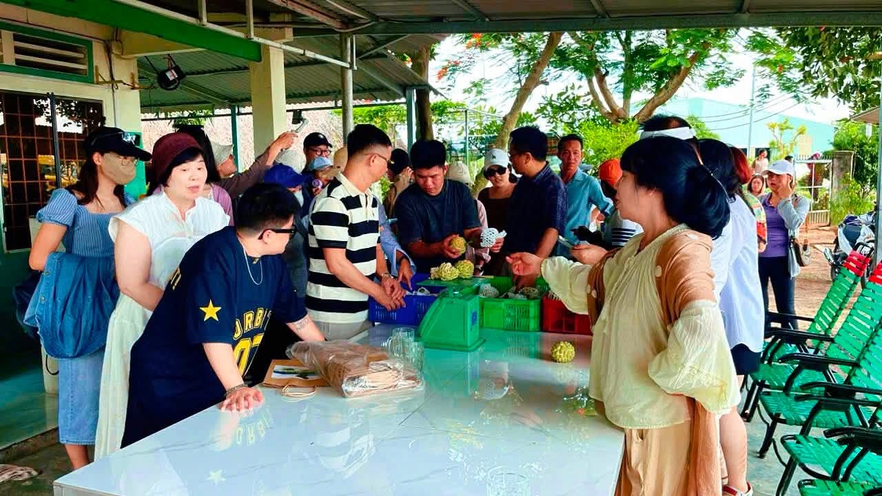 Đoàn KGS tìm hiểu và lựa chọn mãng cầu tại NABADEN