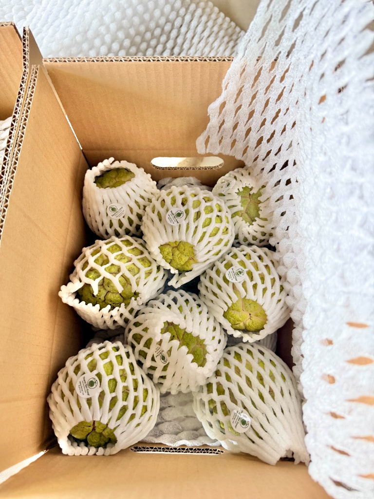 Thùng mãng cầu Bà Đen Tây Ninh đóng chuẩn quy cách có dán tem truy xuất nguồn gốc Thạnh Tân Coop