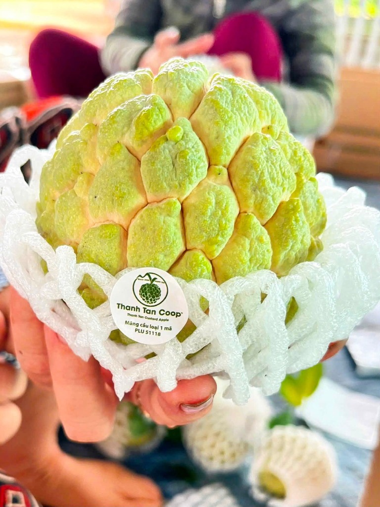 Mãng cầu bao lâu thì chín? Cách nhận biết mãng cầu chín ngon