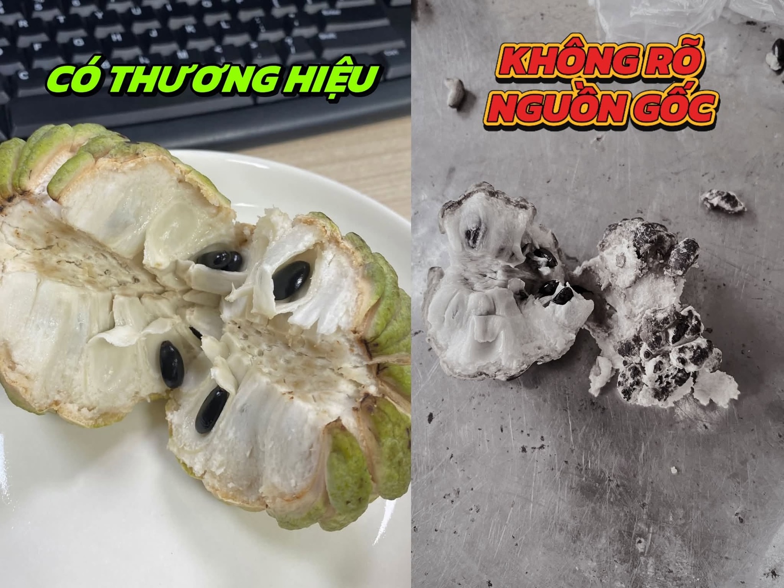 Vì sao mãng cầu Bà Đen đôi khi có sâu? Hiểu đúng về đặc tính tự nhiên của trái mãng cầu